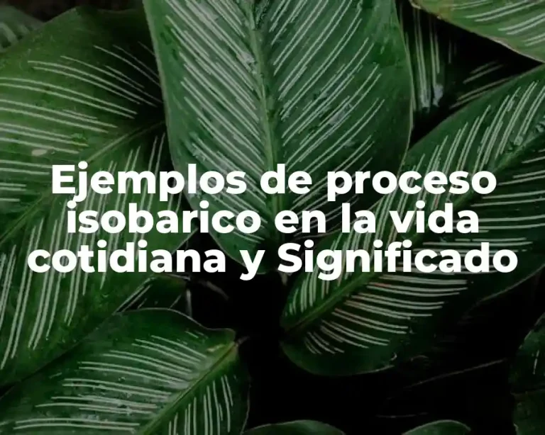 Ejemplos de proceso isobarico en la vida cotidiana y Significado