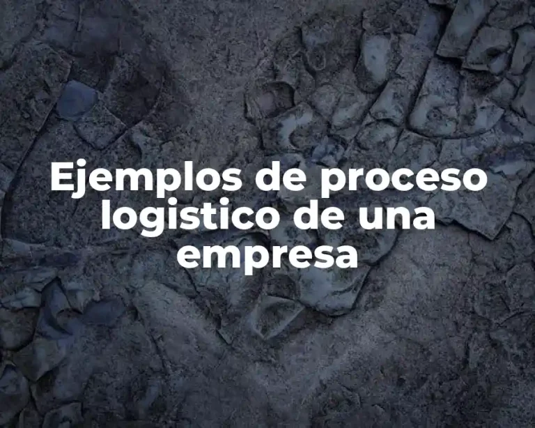 Ejemplos de proceso logistico de una empresa