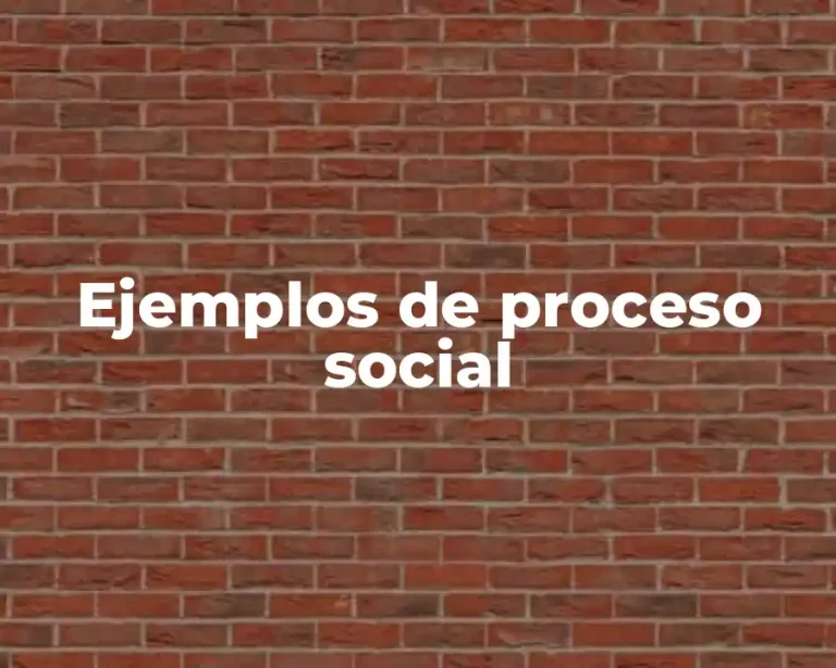 Ejemplos de proceso social