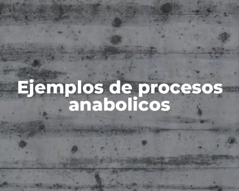 Ejemplos de procesos anabolicos