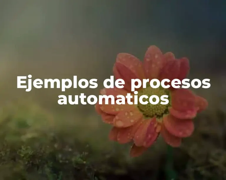 Ejemplos de procesos automaticos