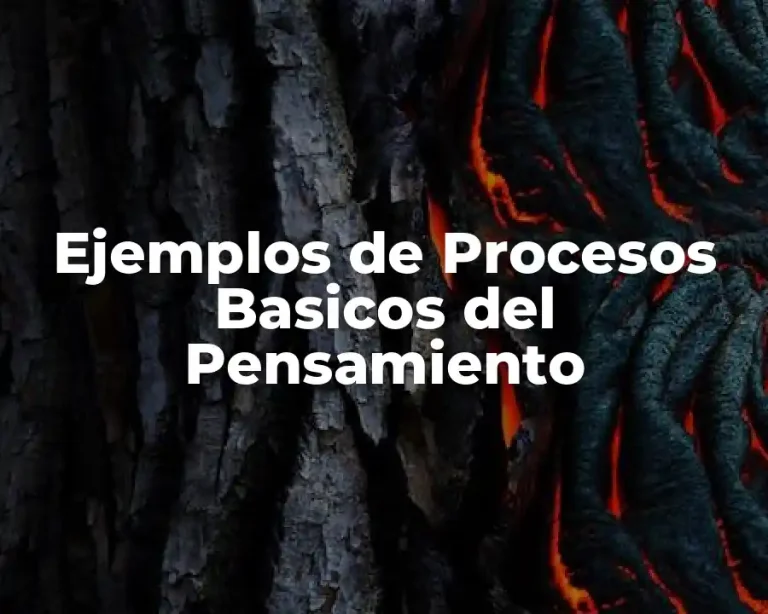 Ejemplos de Procesos Basicos del Pensamiento