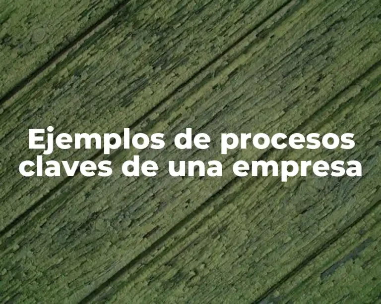 Ejemplos de procesos claves de una empresa