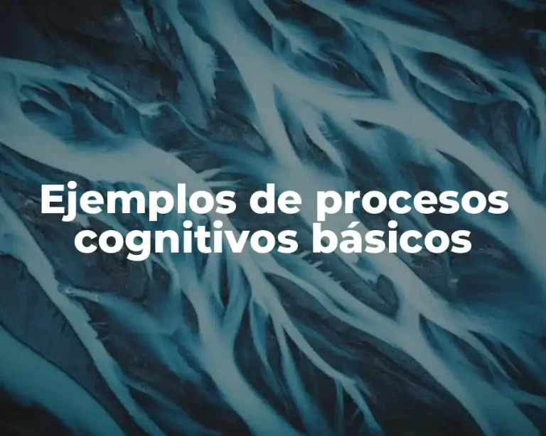 Ejemplos de procesos cognitivos básicos