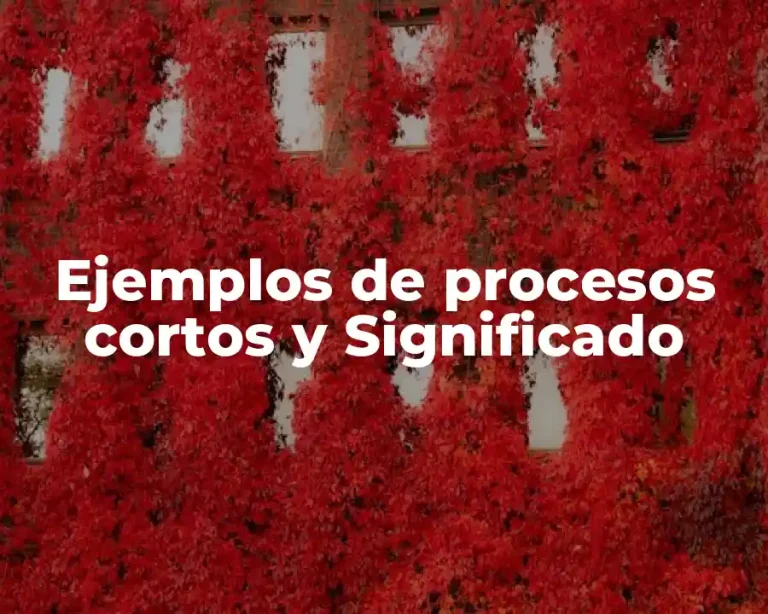 Ejemplos de procesos cortos y Significado