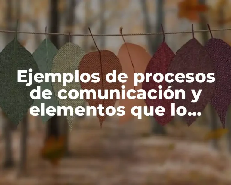 Ejemplos de procesos de comunicación y elementos que lo conforman