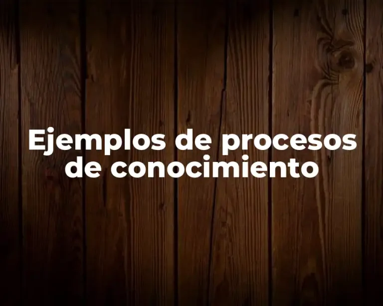 Ejemplos de procesos de conocimiento
