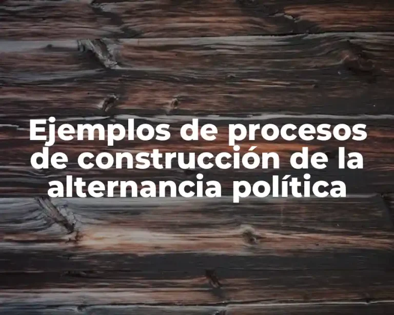 Ejemplos de procesos de construcción de la alternancia política