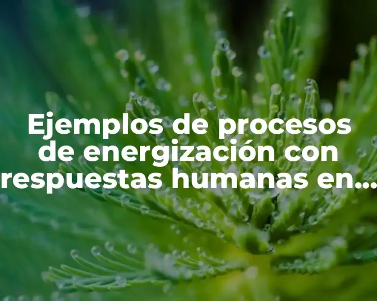 Ejemplos de procesos de energización con respuestas humanas en enfermería