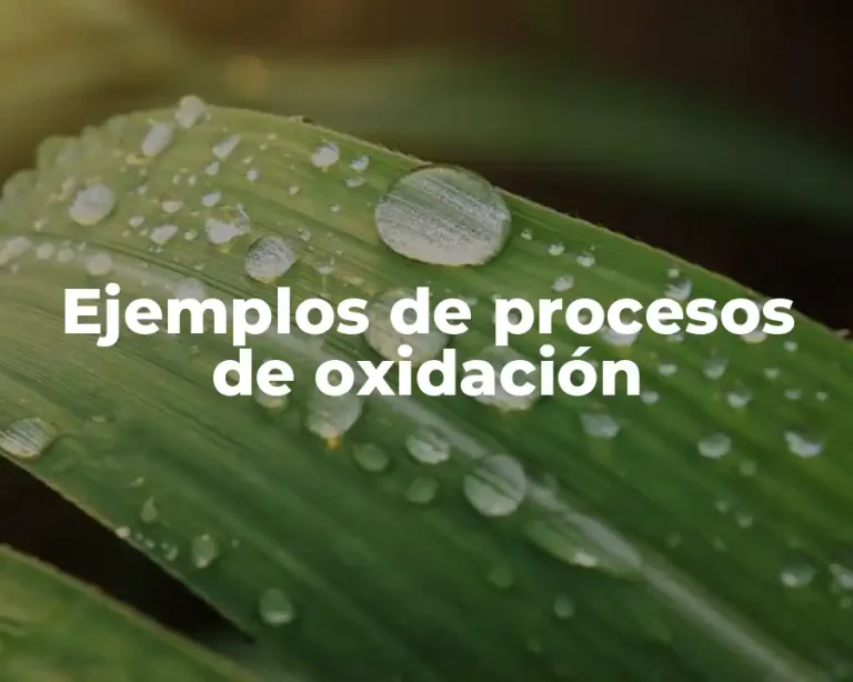Ejemplos de procesos de oxidación