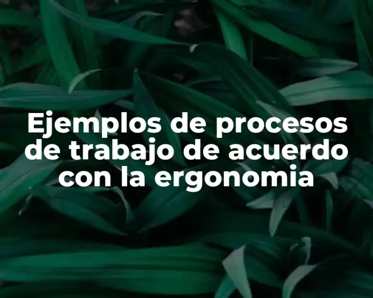 Ejemplos de procesos de trabajo de acuerdo con la ergonomia