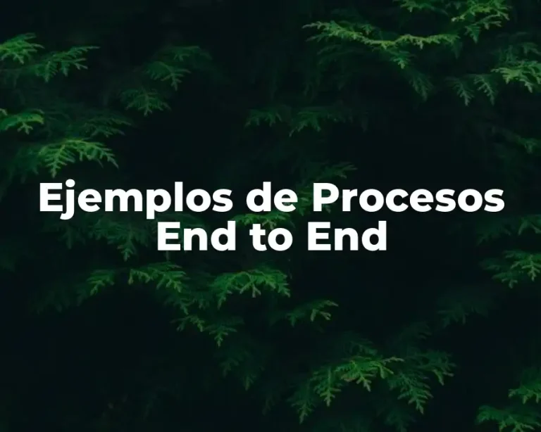 Ejemplos de Procesos End to End
