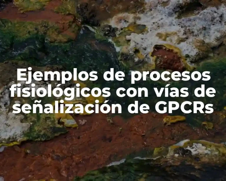 Ejemplos de procesos fisiológicos con vías de señalización de GPCRs