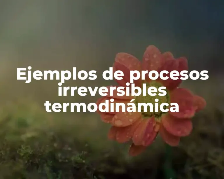 Ejemplos de procesos irreversibles termodinámica