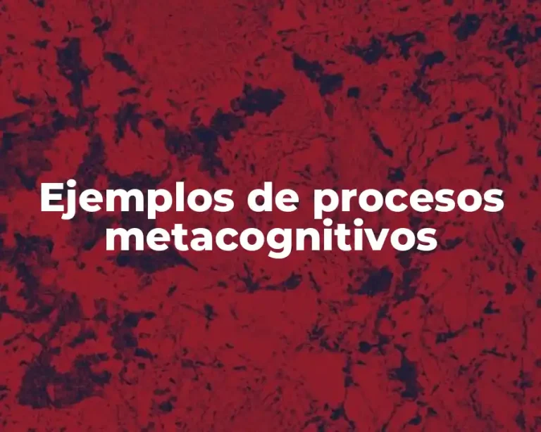 Ejemplos de procesos metacognitivos