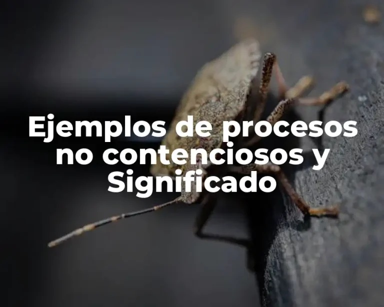 Ejemplos de procesos no contenciosos y Significado