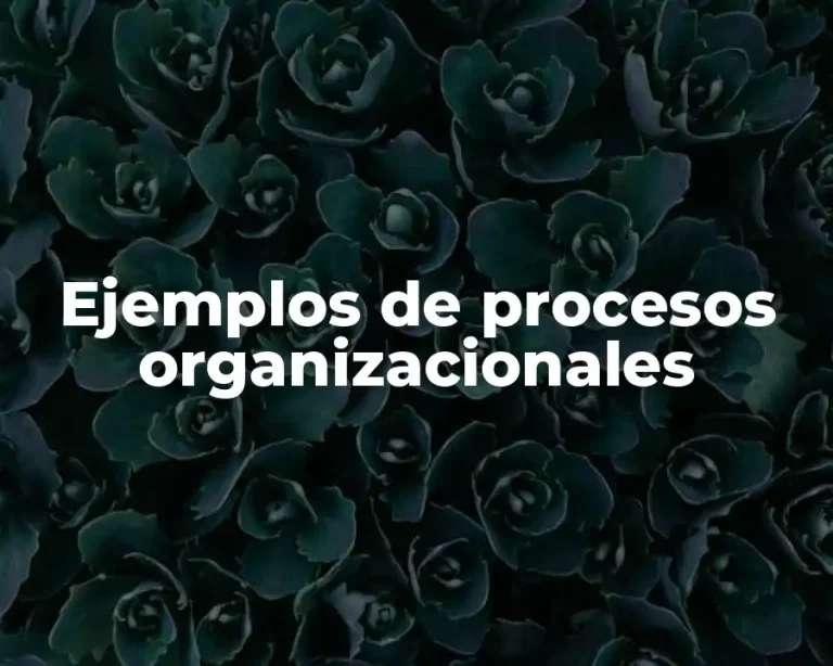 Ejemplos de procesos organizacionales