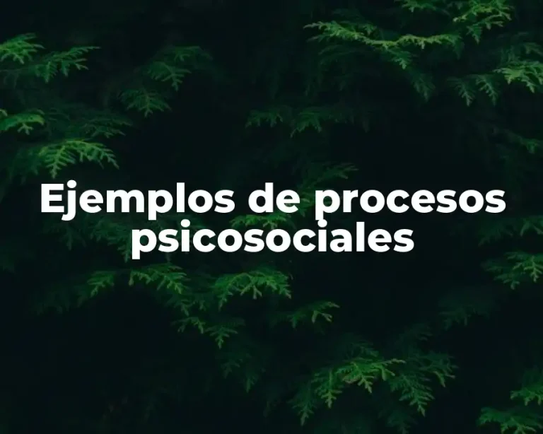 Ejemplos de procesos psicosociales