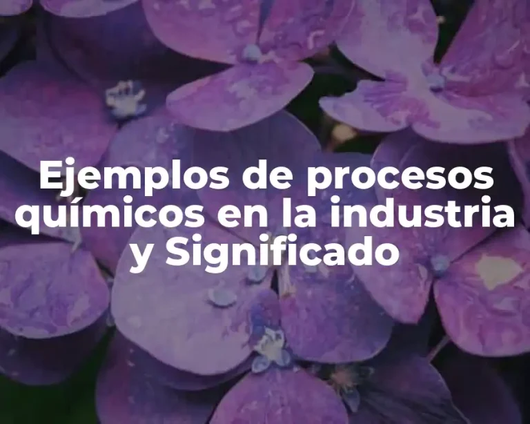 Ejemplos de procesos químicos en la industria y Significado