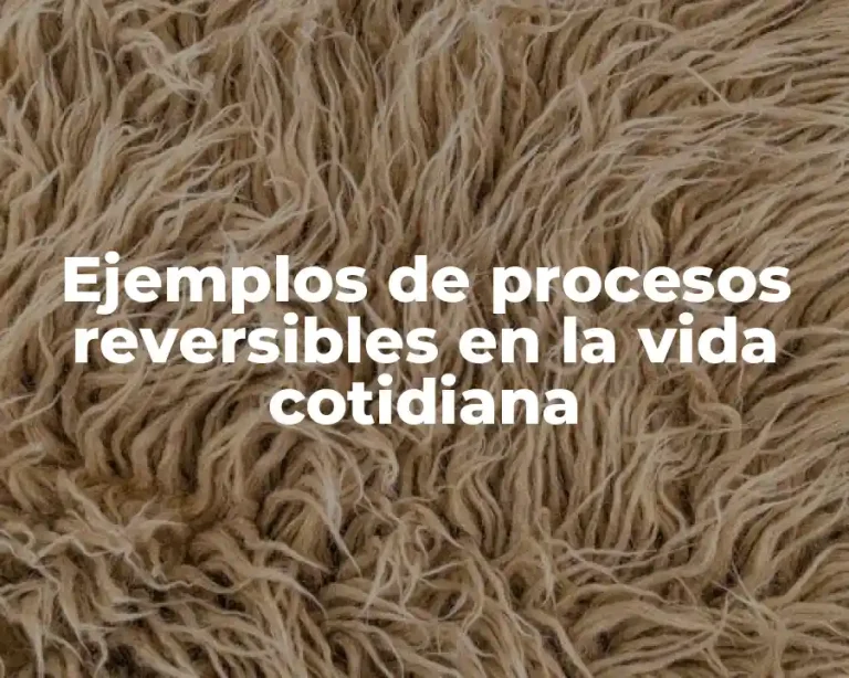 Ejemplos de procesos reversibles en la vida cotidiana