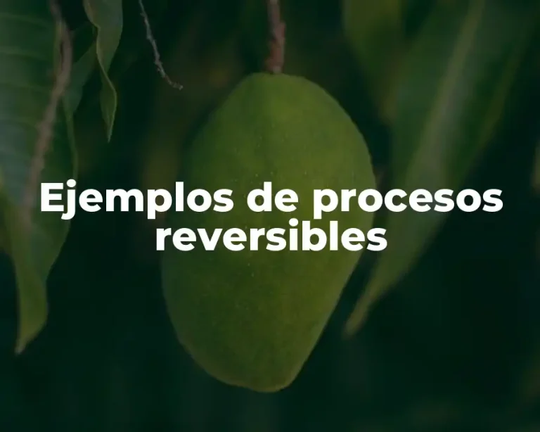 Ejemplos de procesos reversibles