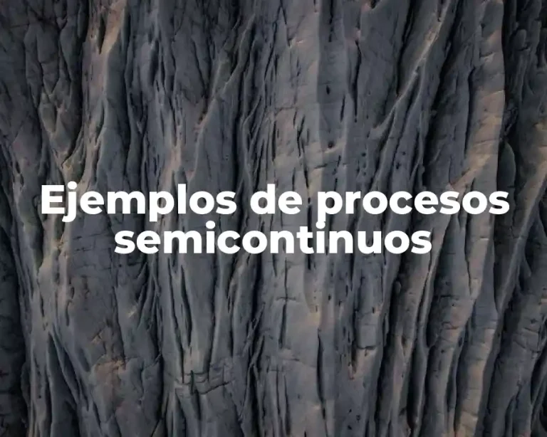 Ejemplos de procesos semicontinuos