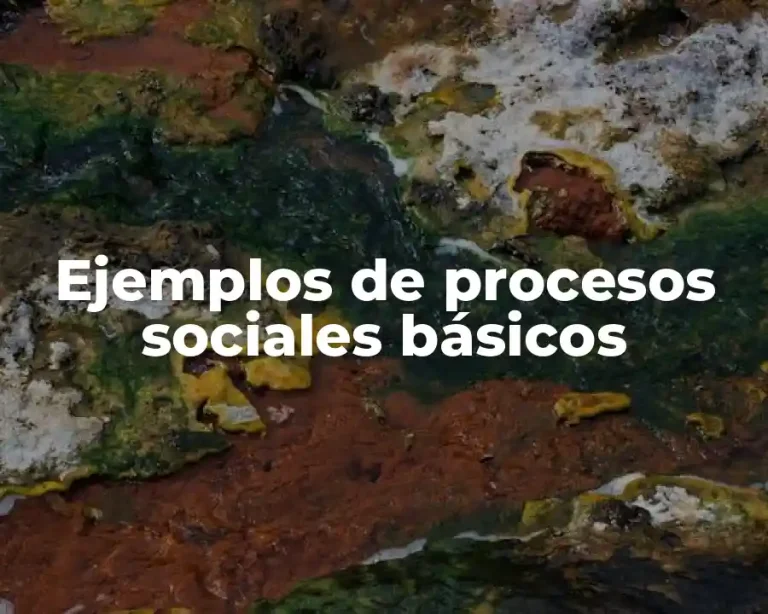 Ejemplos de procesos sociales básicos