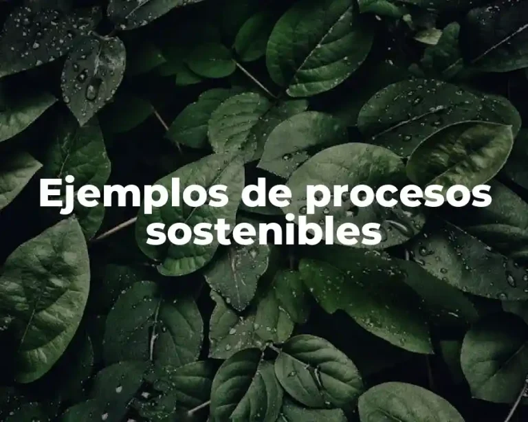 Ejemplos de procesos sostenibles