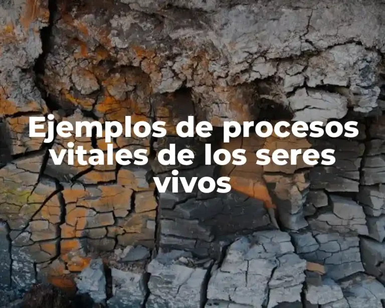 Ejemplos de procesos vitales de los seres vivos