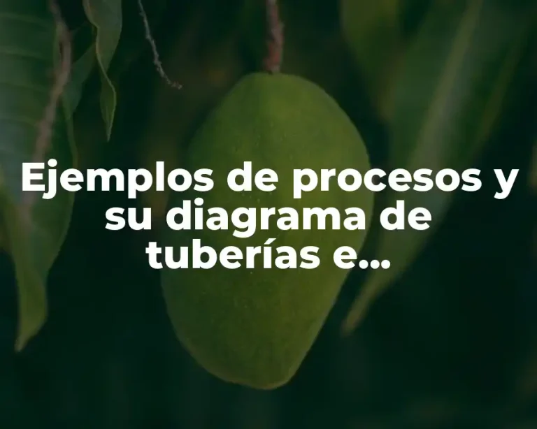 Ejemplos de procesos y su diagrama de tuberías e instrumentación