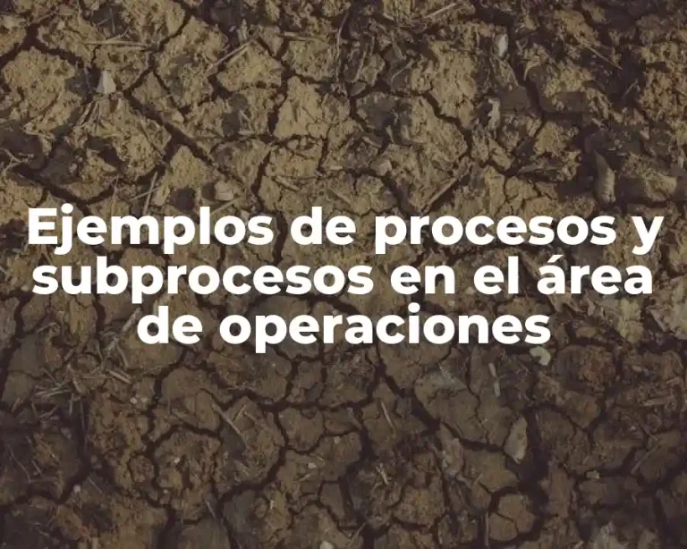 Ejemplos de procesos y subprocesos en el área de operaciones