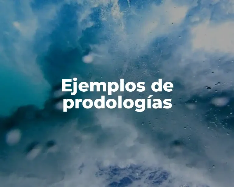 Ejemplos de prodologías