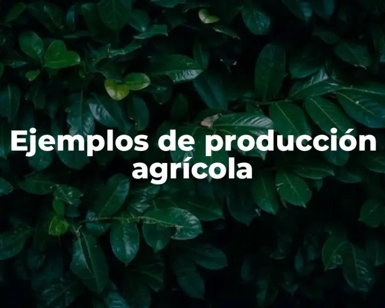 Ejemplos de producción agrícola