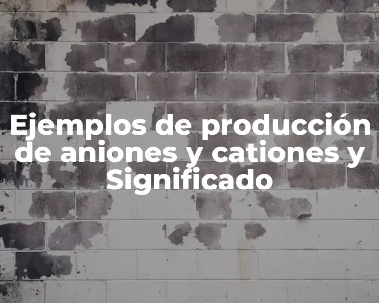 Ejemplos de producción de aniones y cationes y Significado