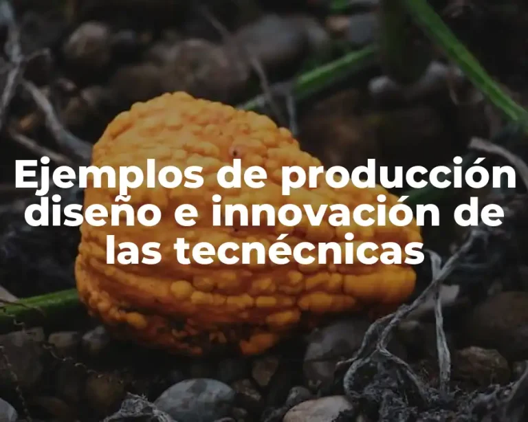 Ejemplos de producción diseño e innovación de las tecnécnicas