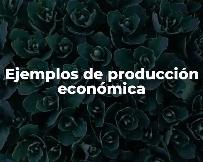 Ejemplos de producción económica
