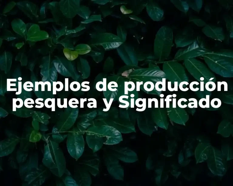 Ejemplos de producción pesquera y Significado