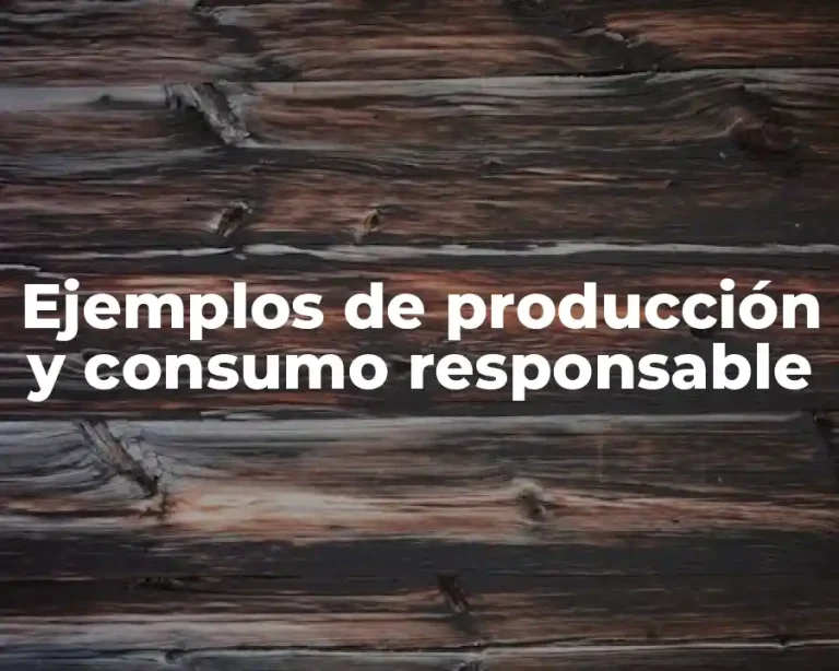 Ejemplos de producción y consumo responsable