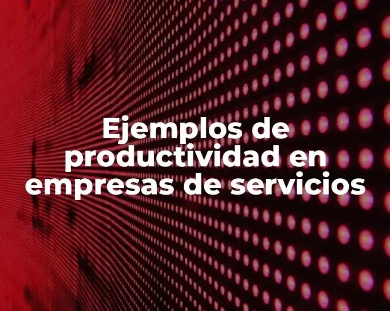 Ejemplos de productividad en empresas de servicios