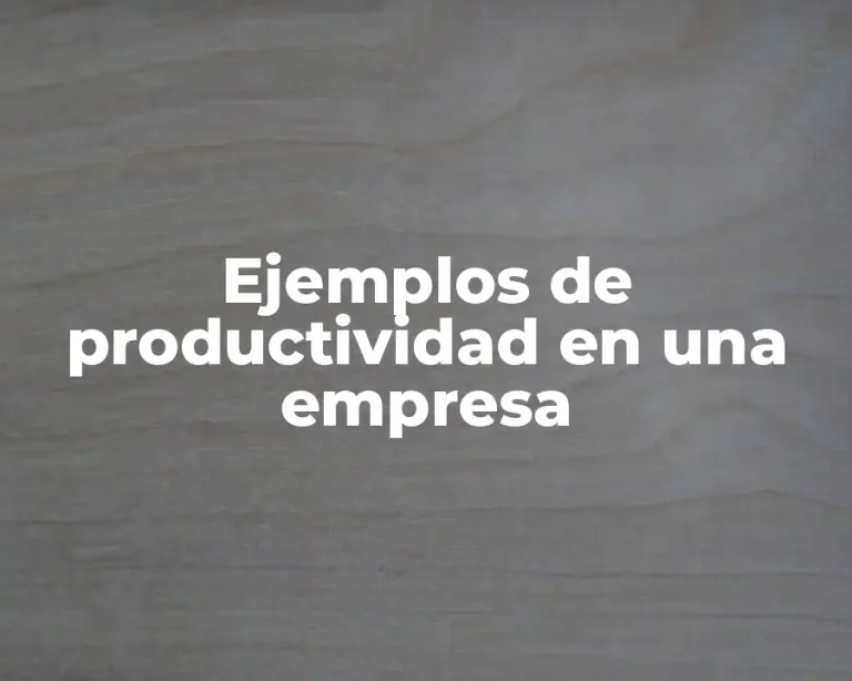 Ejemplos de productividad en una empresa