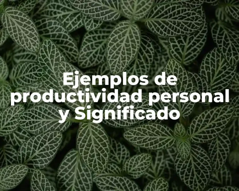 Ejemplos de productividad personal y Significado
