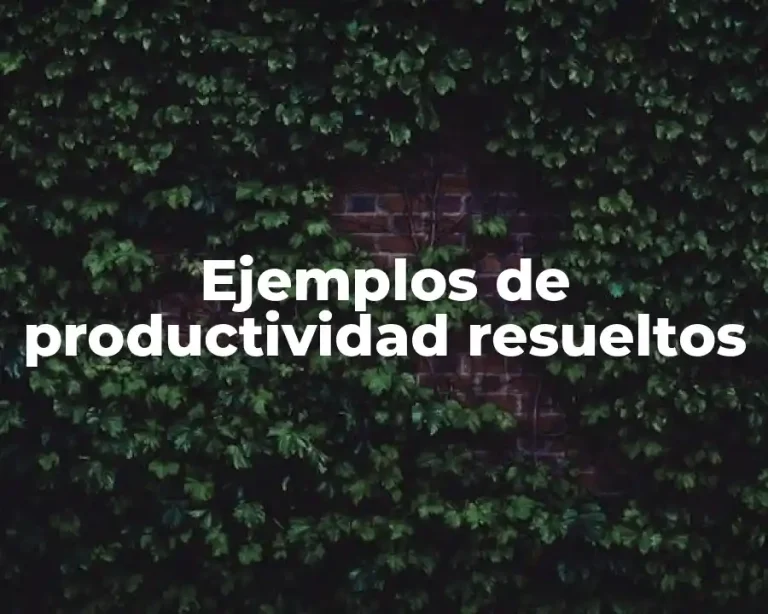 Ejemplos de productividad resueltos