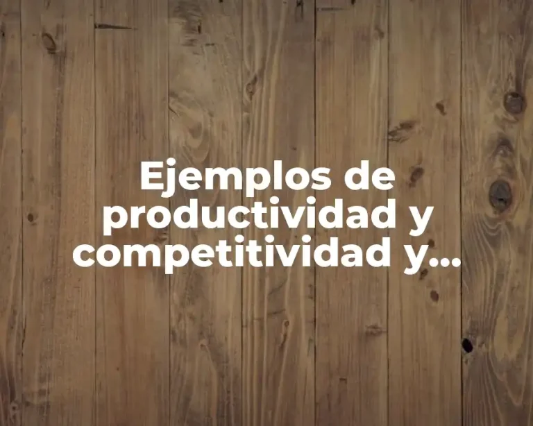 Ejemplos de productividad y competitividad y Significado