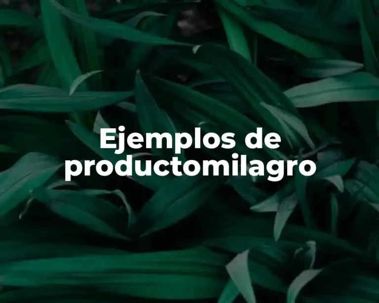 Ejemplos de productomilagro
