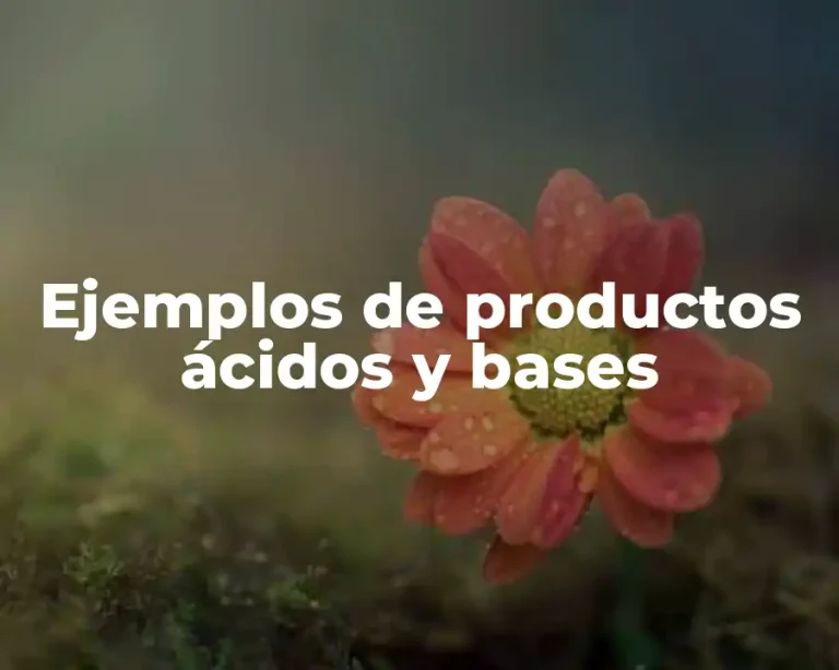 Ejemplos de productos ácidos y bases