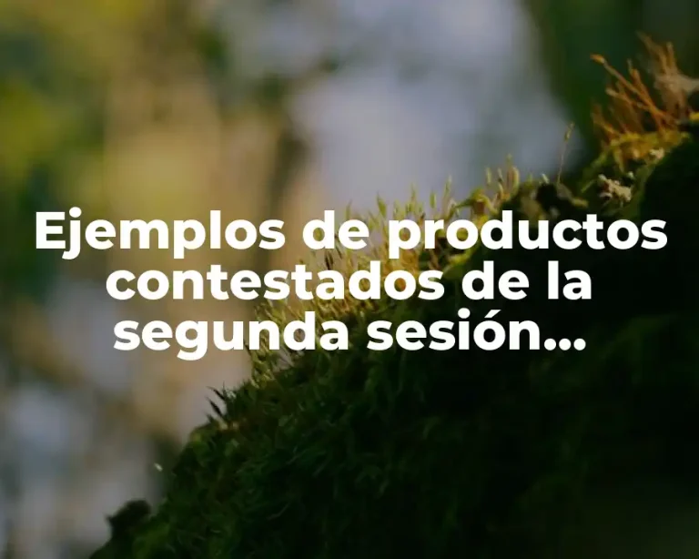 Ejemplos de productos contestados de la segunda sesión ordinaria