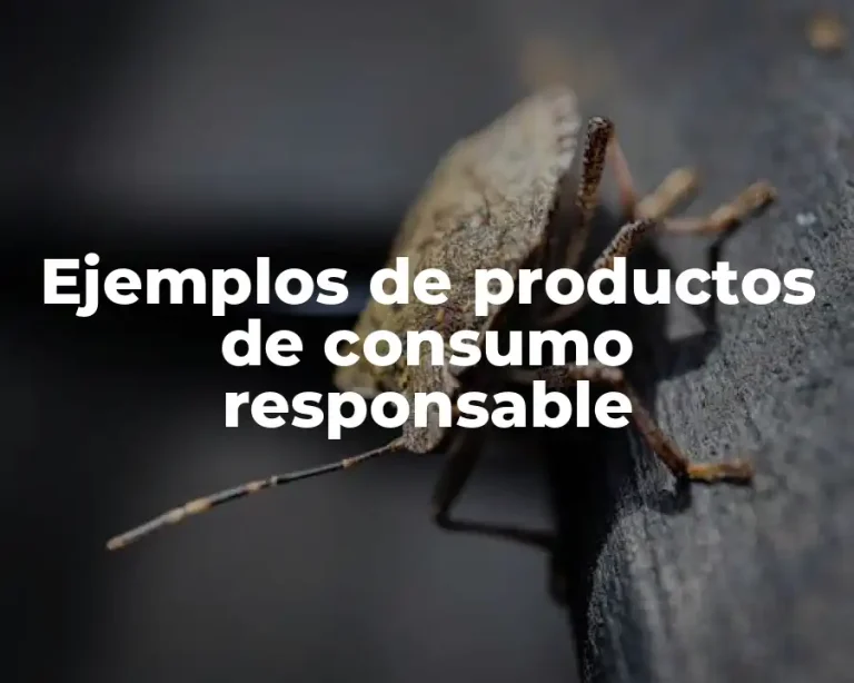 Ejemplos de productos de consumo responsable