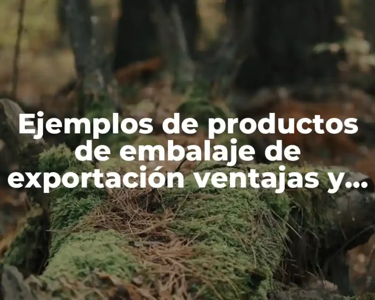 Ejemplos de productos de embalaje de exportación ventajas y desventajas