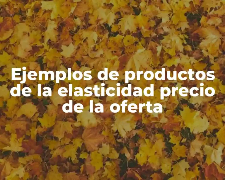 Ejemplos de productos de la elasticidad precio de la oferta