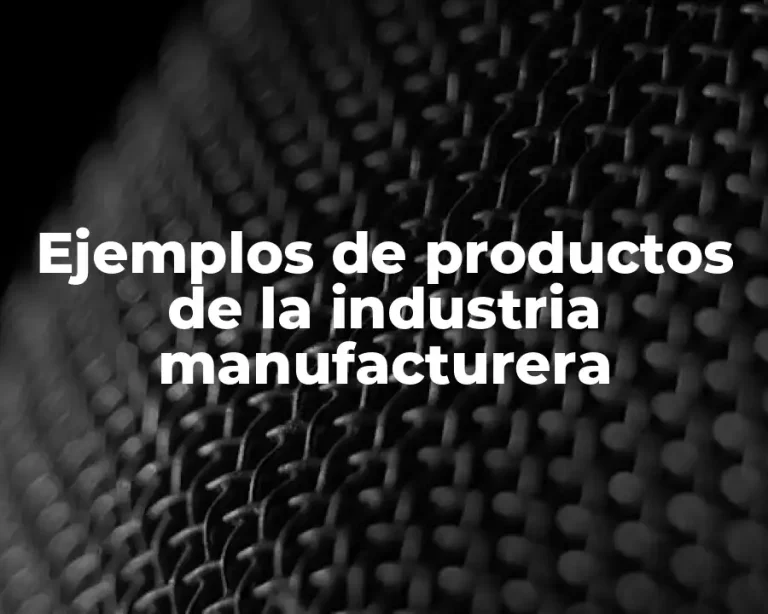 Ejemplos de productos de la industria manufacturera